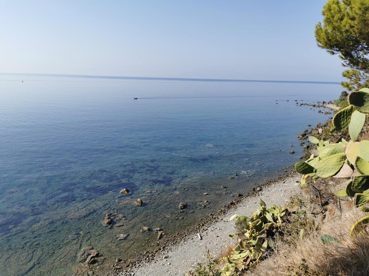 Dominella Daire Casal Velino Dış mekan fotoğraf
