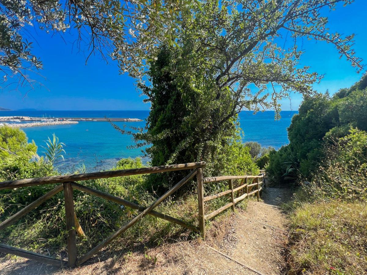 Dominella Daire Casal Velino Dış mekan fotoğraf